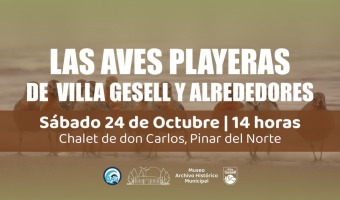 CHARLA SOBRE LAS AVES PLAYERAS DE NUESTRA COSTA